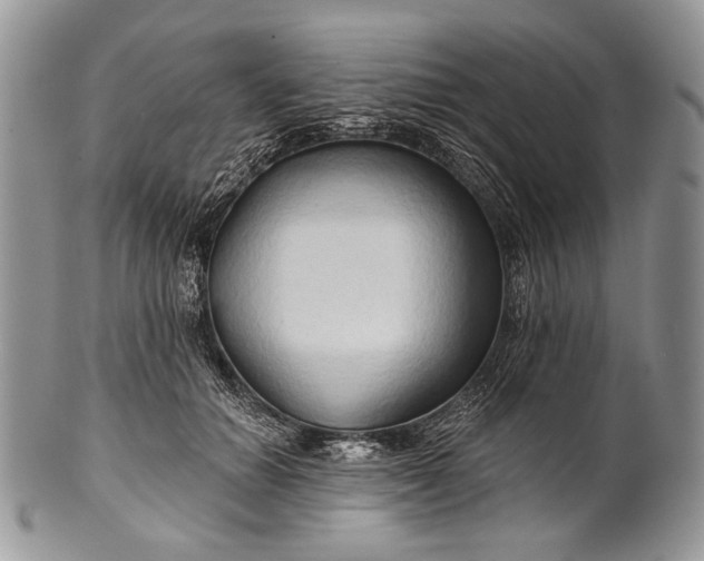 X0000100370654200806201629