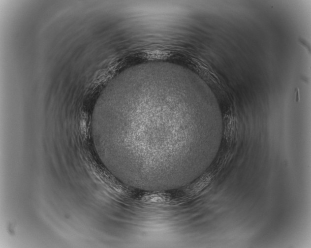 X0000100370655200806201629