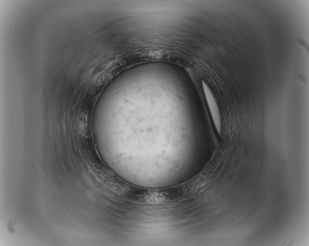 X0000100370656200806201629