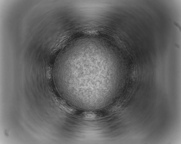 X0000100370658200806201629