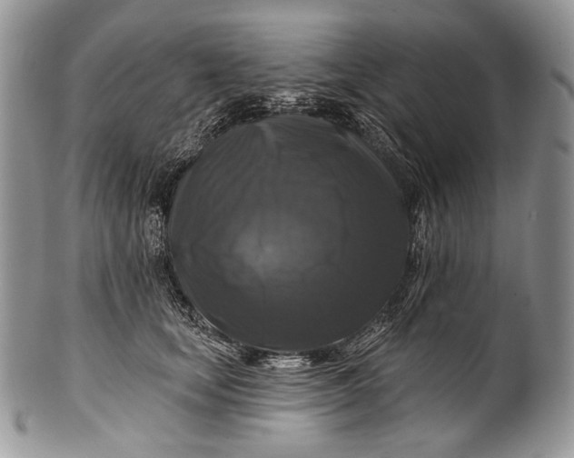 X0000100370659200806201629