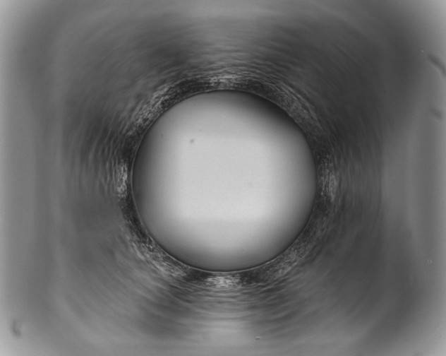 X0000100370660200806201629