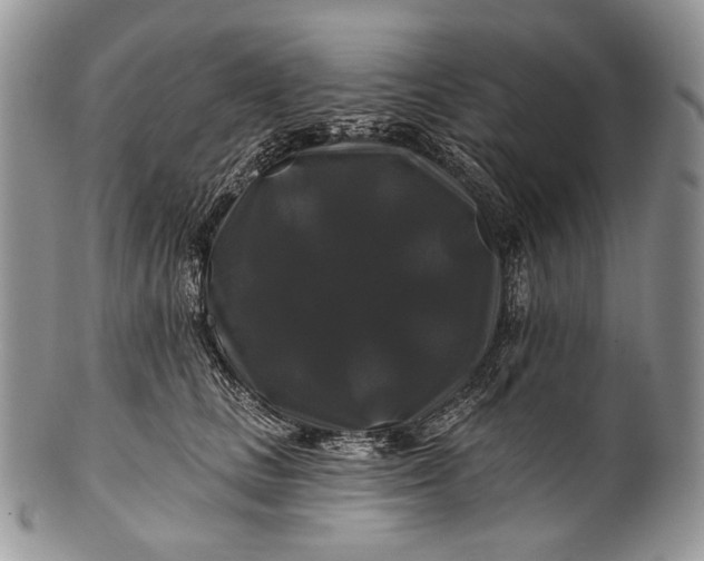 X0000100370661200806201629