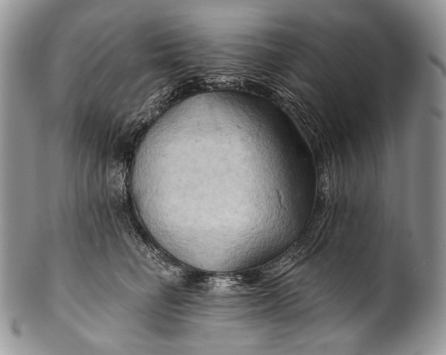 X0000100370662200806201629