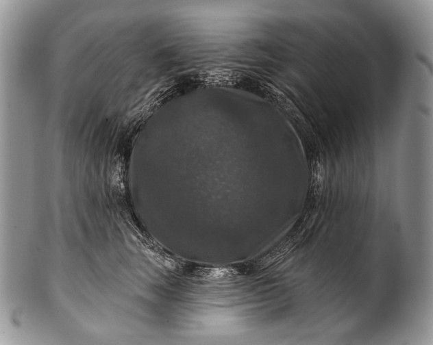 X0000100370663200806201629