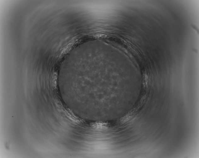 X0000100370664200806201629