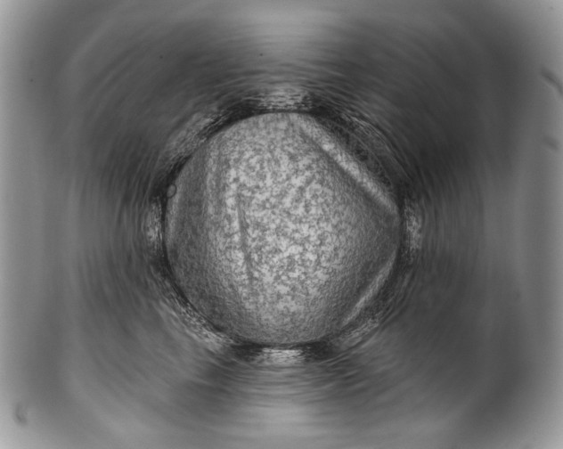 X0000100370665200806201629