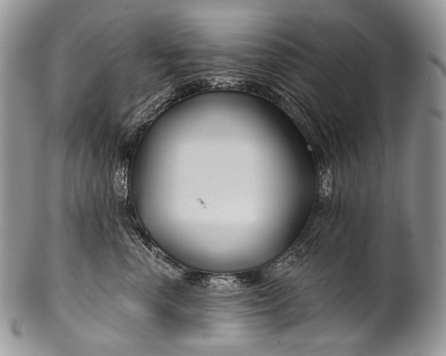 X0000100370666200806201629