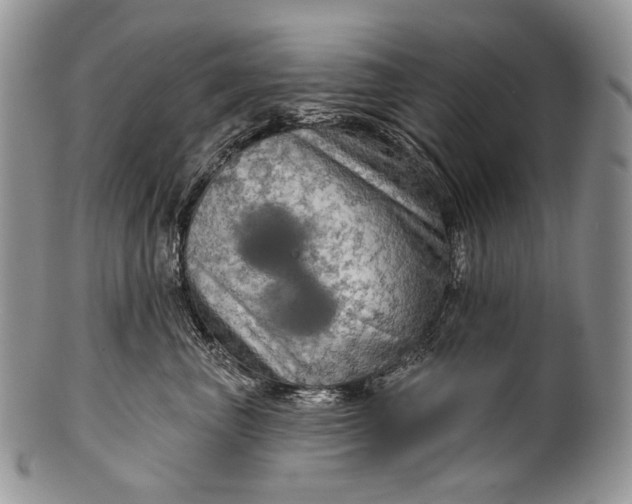 X0000100370667200806201629