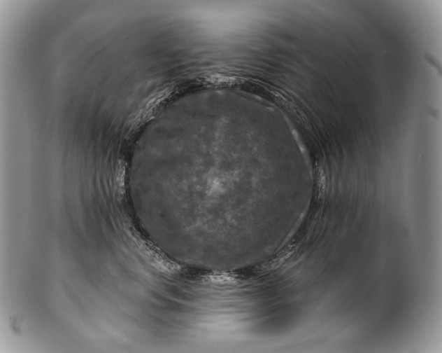 X0000100370668200806201629