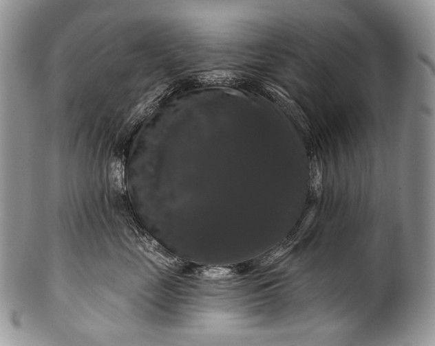 X0000100370669200806201629