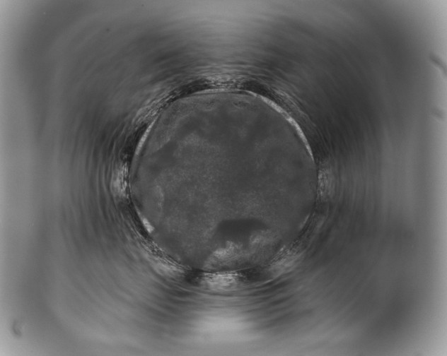 X0000100370671200806201629