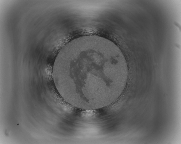 X0000100370672200806201629