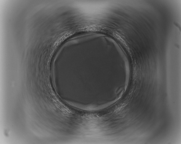 X0000100370673200806201628