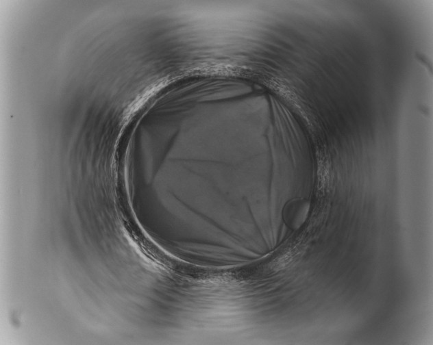 X0000100370674200806201628