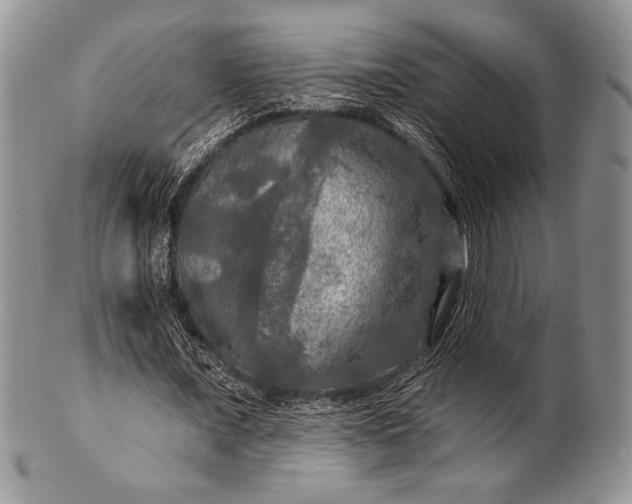 X0000100370675200806201628