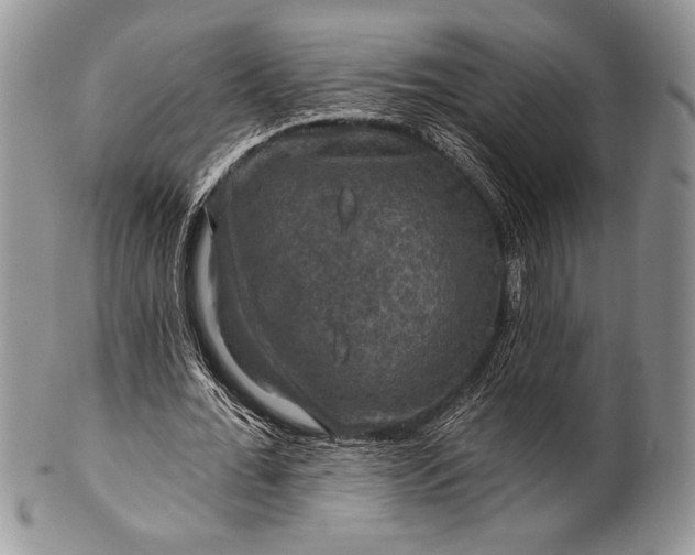 X0000100370676200806201628