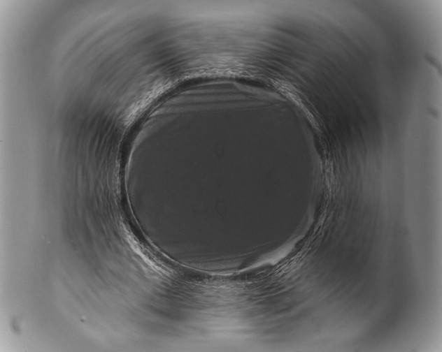 X0000100370677200806201628