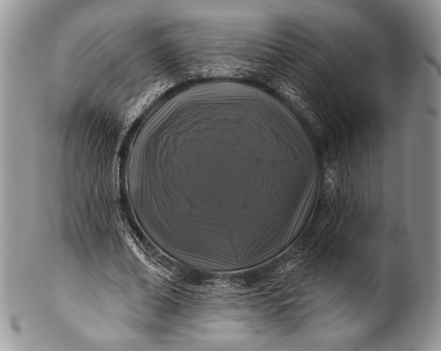 X0000100370678200806201628