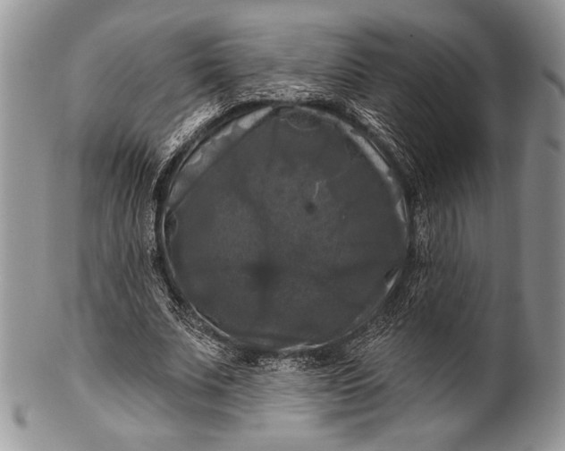 X0000100370679200806201628