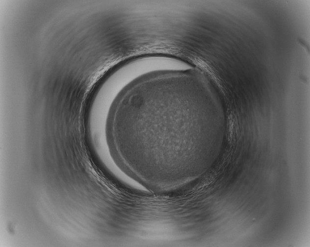 X0000100370680200806201628