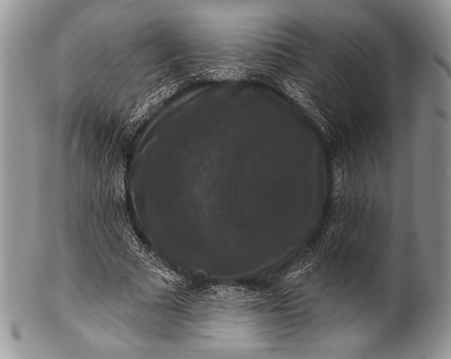 X0000100370681200806201628