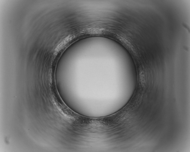 X0000100370682200806201628