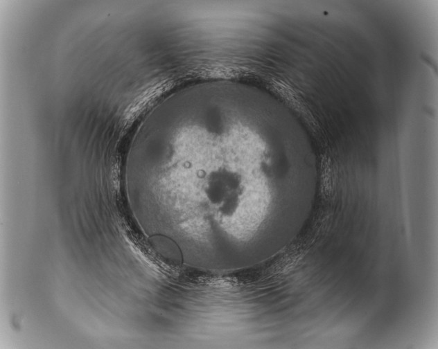 X0000100370683200806201628