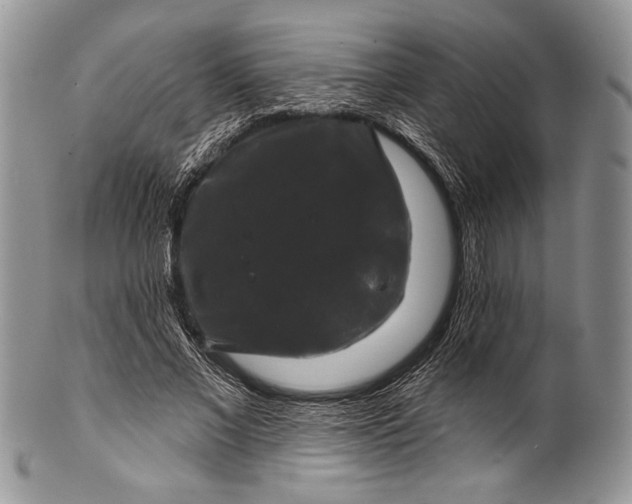 X0000100370685200806201628