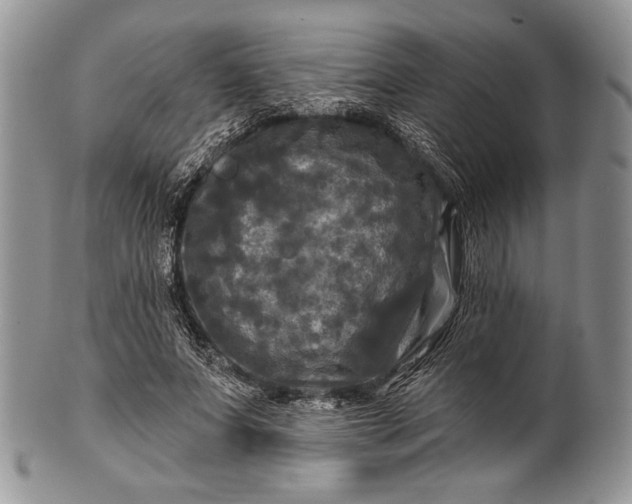 X0000100370687200806201628