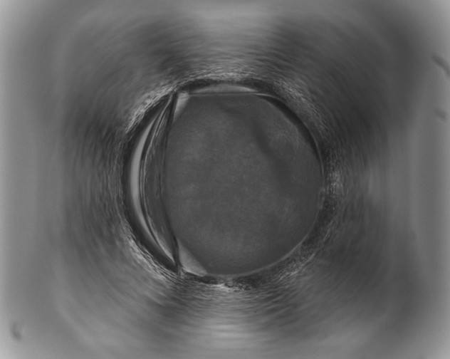 X0000100370688200806201628