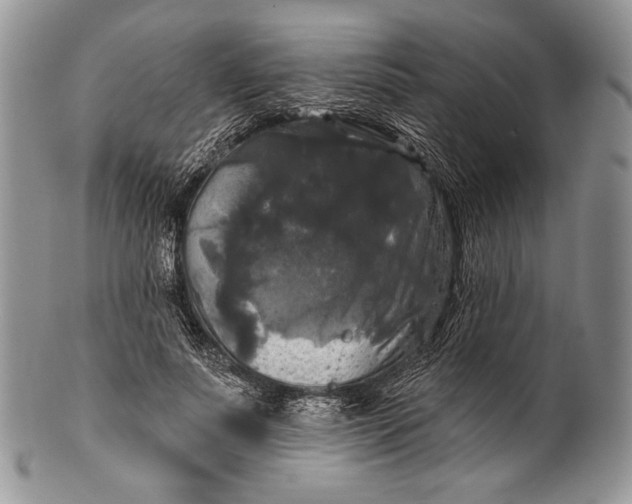 X0000100370691200806201628