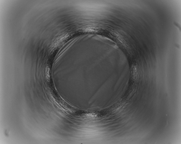 X0000100370692200806201628