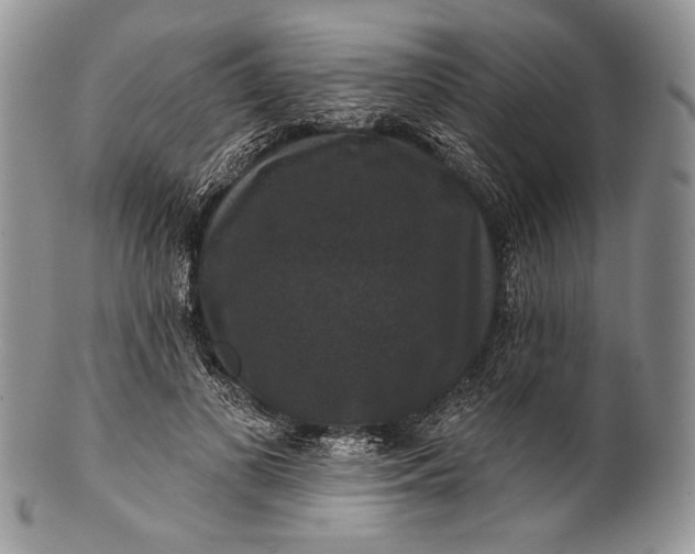 X0000100370693200806201628