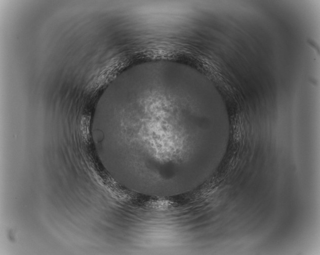 X0000100370695200806201628