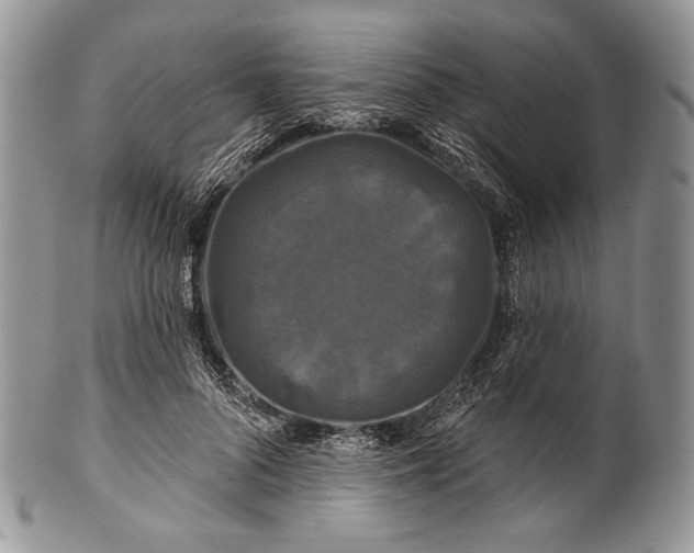 X0000100370696200806201628