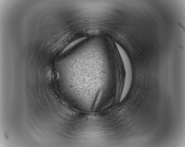 X0000100370697200806201628