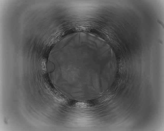 X0000100370699200806201628