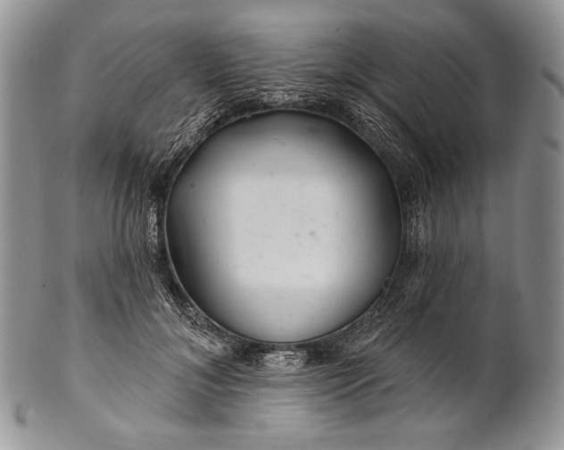 X0000100370700200806201628