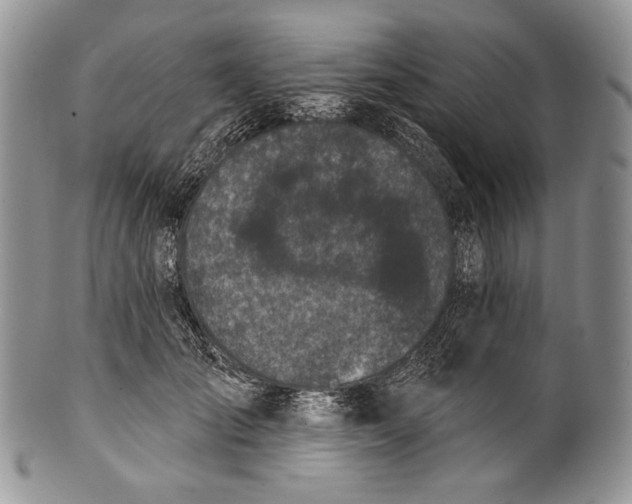 X0000100370701200806201628