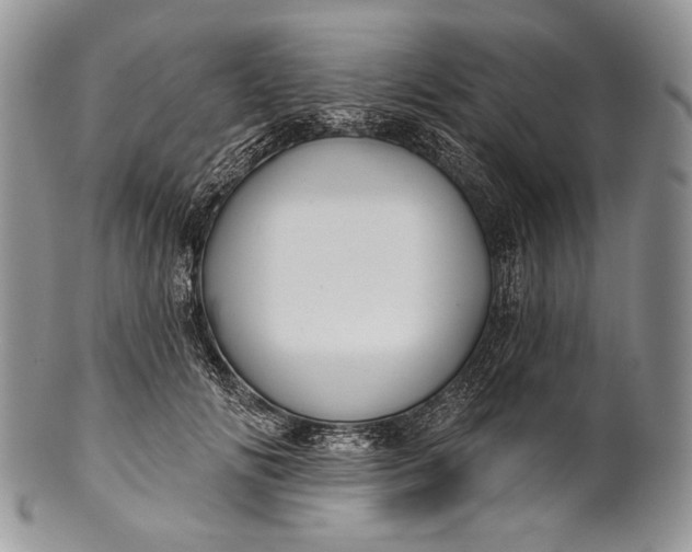 X0000100370702200806201628