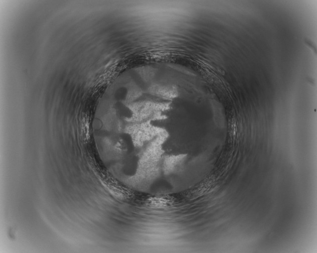 X0000100370703200806201628