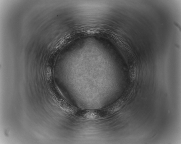 X0000100370704200806201628