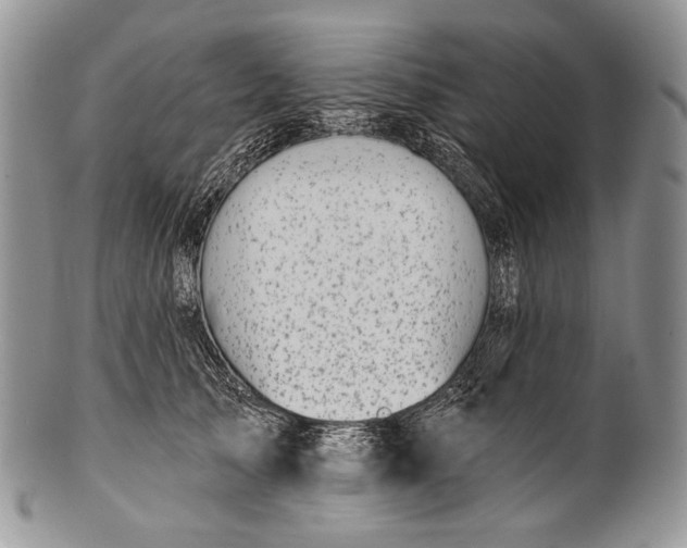 X0000100370705200806201628