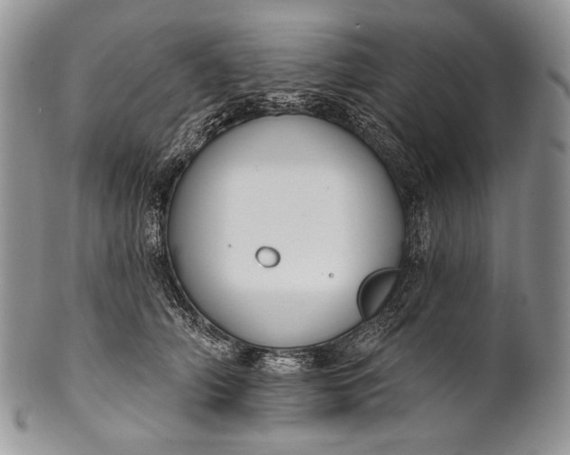 X0000100370706200806201628