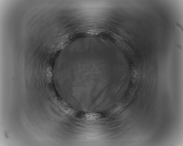 X0000100370707200806201628