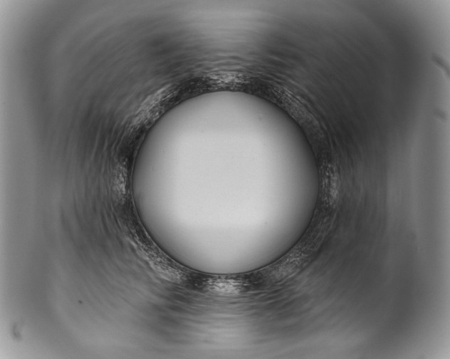 X0000100370710200806201628