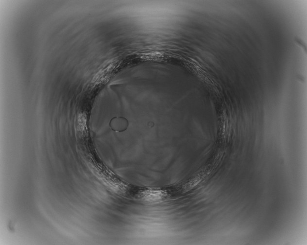 X0000100370711200806201628