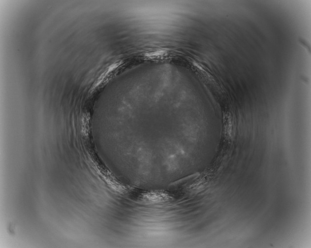 X0000100370712200806201628