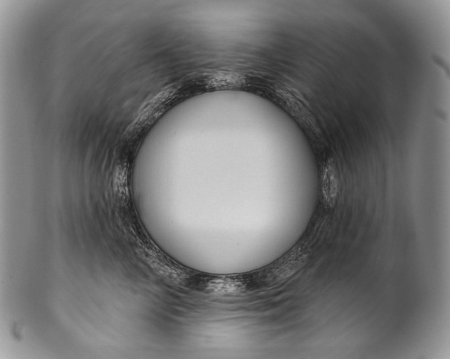 X0000100370714200806201628